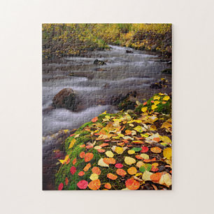 Puzzle Couleurs d'automne le long du ruisseau McGee