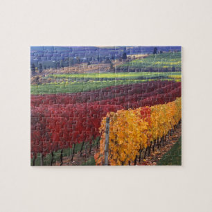 Puzzle Couleurs d'automne rouges et jaunes intenses sur G