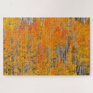 Puzzle Couleurs d'automne sur Aspen Groves