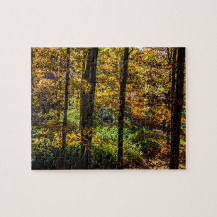 Puzzle Couleurs de l'automne