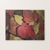 Puzzle Couleurs du casse-tête d'automne (Horizontal)