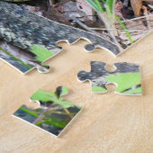 Puzzle Couleuvre à rayures de l'est au cap Cod (Côté)