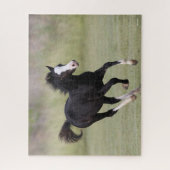 Puzzle Coup De Foin De Pony Noir Et Blanc Gallois (Vertical)