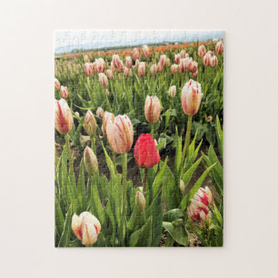 Puzzle Coup de poing