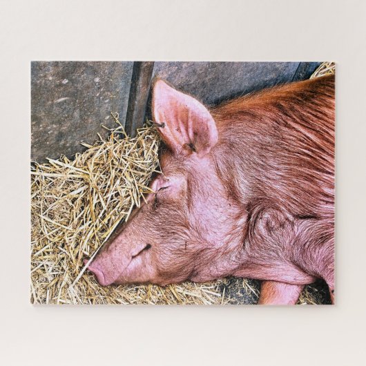 PUZZLE COUPER (Horizontal)