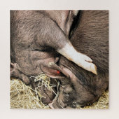 PUZZLE COUPER LES COCHONS DE SOMMEIL (Vertical)