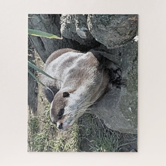 PUZZLE COUPER OTTER  (Vertical)