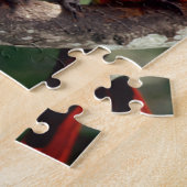 Puzzle Couple d'Ara rouge (Côté)