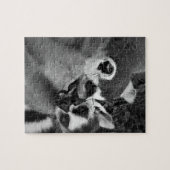 Puzzle Couple de lémuriens à queue d'anneau mangeant de l (Horizontal)