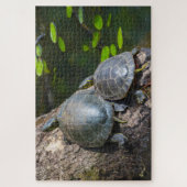 Puzzle Couple de Tortues Peintes (Vertical)