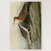Puzzle Courlis de porc (Sandpiper) Audubon Birds of Ameri (Vertical)