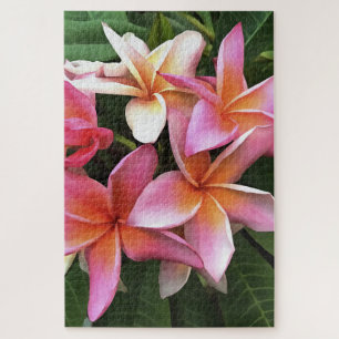 Puzzle Couronne De Fleur De Frangipani Rose Pâle