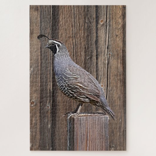 PUZZLE COURRIER SUR BARNWOOD (Vertical)