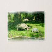 Puzzle Course de tortues (Horizontal)
