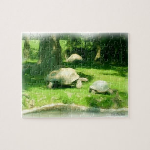 Puzzle Course de tortues