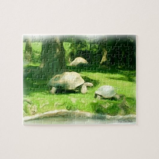 Puzzle Course de tortues (Horizontal)