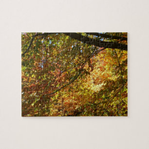 Puzzle Couvert de feuilles d'automne I Nature jaune d'aut