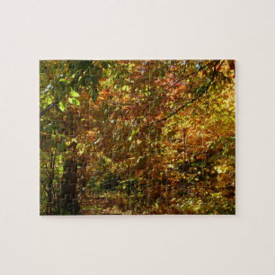 Puzzle Couvert de feuilles d'automne II Photographie d'au