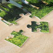 Puzzle Cows in the field, Betsukai town, Hokkaido (Côté)