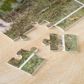 Puzzle Coyote Pretty (Côté)