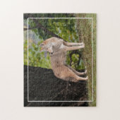Puzzle Coyote Pretty (Vertical)