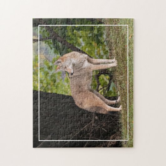 Puzzle Coyote Pretty (Vertical)