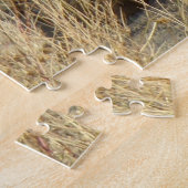 Puzzle Coyote R18 Couché (Côté)