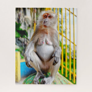 Puzzle Crab-eating macaque