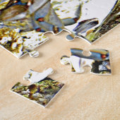 Puzzle Crabe bleu du Maryland (Côté)