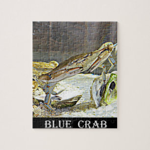 Puzzle Crabe bleu du Maryland
