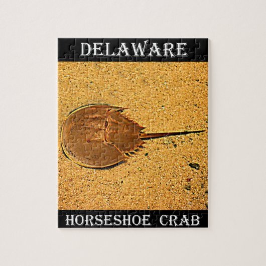 Puzzle Crabe de fer à cheval du Delaware (Vertical)