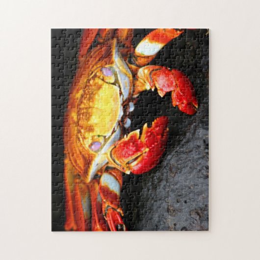 Puzzle Crabe de Galapagos (Vertical)