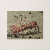 Puzzle Crabe de sable de l'océan (Horizontal)