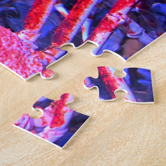 Puzzle Crabes araignées. (Côté)