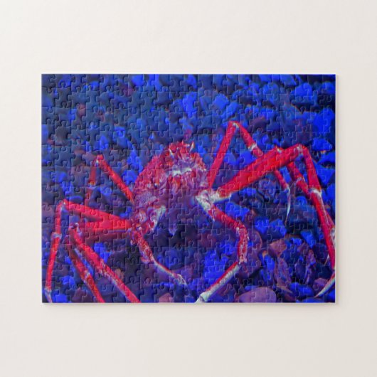 Puzzle Crabes araignées. (Horizontal)