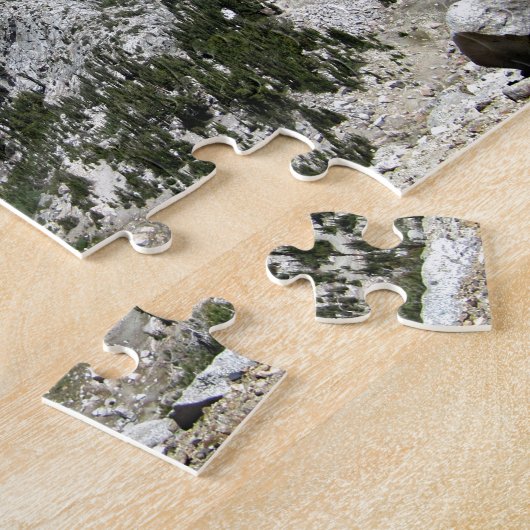 Puzzle Crâne Cristal Mammoth Lakes Basin Mammoth Crest (Côté)