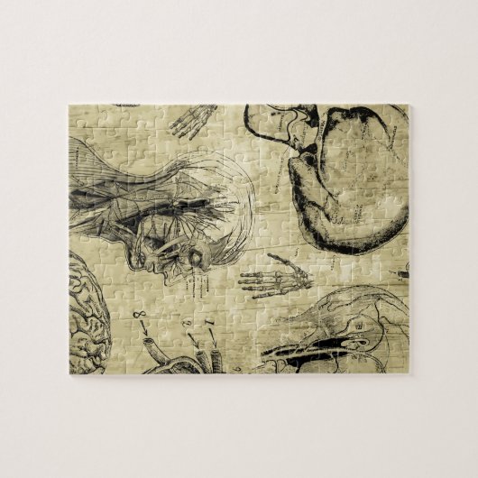 Puzzle Crâne d'anatomie vintage (Horizontal)