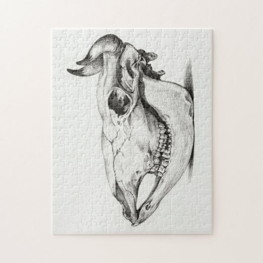 Puzzle Crâne de vache par Jean Bernard (Vertical)