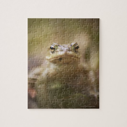 Puzzle Crapaud du jour (Vertical)