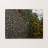 Puzzle créatif de photo de bois de sentier d'autom (Horizontal)