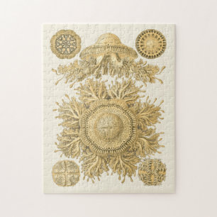 Puzzle Créatures d'or de mer