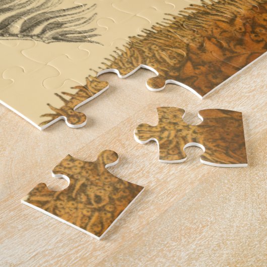 Puzzle Créatures sous-marines (Côté)