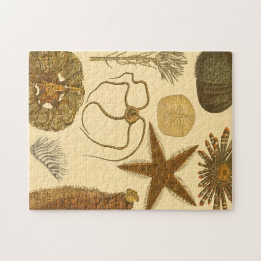 Puzzle Créatures sous-marines (Horizontal)