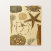 Puzzle Créatures sous-marines (Vertical)