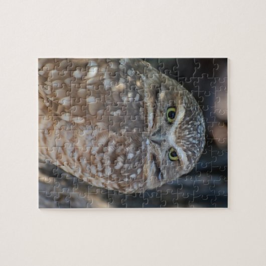 Puzzle Creuser le hibou (Horizontal)