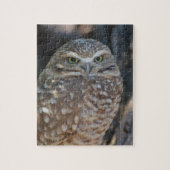 Puzzle Creuser le hibou (Vertical)