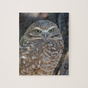 Puzzle Creuser le hibou