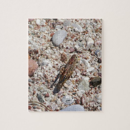 Puzzle Cricket de Jiminy (Vertical)