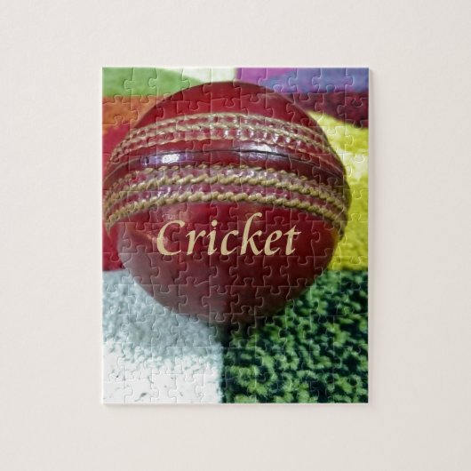 Puzzle Cricket : Red Hard Ball Art Print (Vertical)