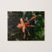 Puzzle Crimson Bloom – Nature’s Petal Symphony (Horizontal)